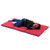 Angels Rest Nap Mat 2"-Red/Blue 3 Section Folding Mat-5 Pack