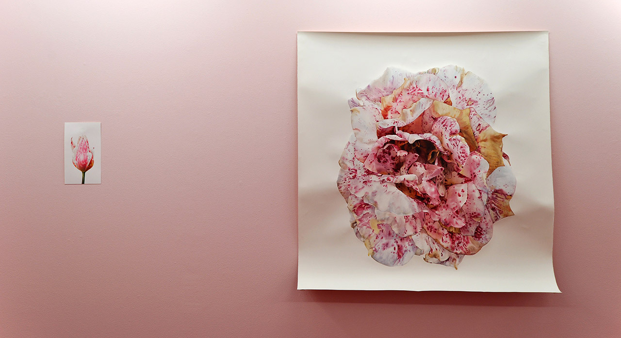 blomsterakvarel af Anne Skole Overgaard