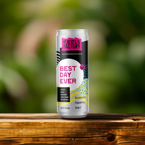 Best Day Ever Adaptogen & Cannabinoid Drink - Feels Factory