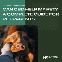 Can CBD Help My Pet? A Complete Guide for Pet Parents