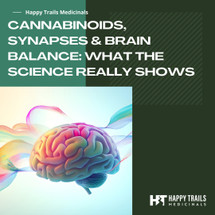 Cannabinoids, Synapses & Brain Balance: What the Science Really Shows