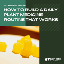 How to Build a Daily Plant Medicine Routine That Works