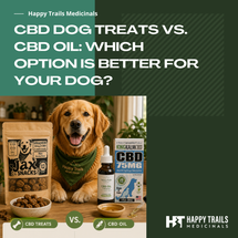 CBD Dog Treats vs. CBD Oil: Which Option Is Better for Your Dog?