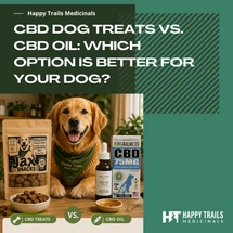 CBD Dog Treats vs. CBD Oil: Which Option Is Better for Your Dog?
