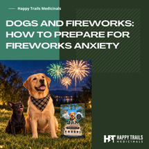 Dogs and Fireworks: How to Prepare for Fireworks Anxiety