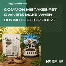 Common Mistakes Pet Owners Make When Buying CBD for Dogs