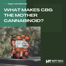 Why Is CBG Called the Mother Cannabinoid? 