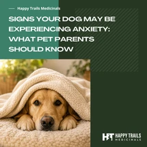 Signs Your Dog May Be Experiencing Anxiety: What Pet Parents Should Know