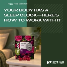 Your Body Has a Sleep Clock—Here’s How to Work With It