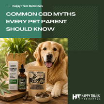 Common CBD Myths Every Pet Parent Should Know