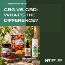 Common CBD Myths Every Pet Parent Should Know