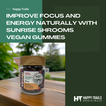 Improve Focus and Energy Naturally with Sunrise Shrooms Gummies