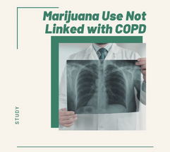 Marijuana Use Not Linked With COPD Marijuana Use Not Linked With COPD