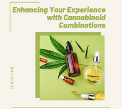 Enhance Your Experience with Cannabinoid Combinations