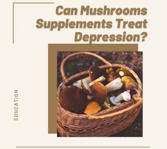 Mushroom Supplements for Depression Mushroom Supplements for Depression
