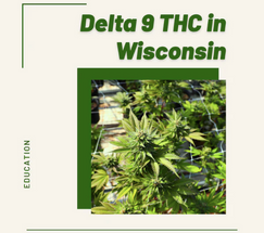 Delta 9 THC in Wisconsin & it’s Legality Delta 9 THC in Wisconsin & it’s Legality