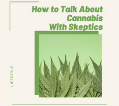 How to Talk About Cannabis with Skeptics How to Talk About Cannabis with Skeptics