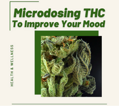 Microdosing THC To Improve Your Mood  Microdosing THC To Improve Your Mood