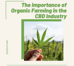 The Importance of Organic Farming in the CBD Industry The Importance of Organic Farming in the CBD Industry