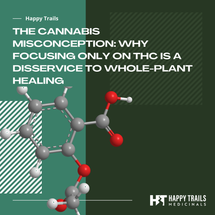 The Cannabis Misconception: Why Focusing Only on THC Is a Disservice to Whole-Plant Healing The Cannabis Misconception: Why Focusing Only on THC Is a Disservice to Whole-Plant Healing