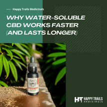 Why Water-Soluble CBD Works Faster (and Lasts Longer) Why Water-Soluble CBD Works Faster (and Lasts Longer)