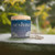 Daily Brain Support Mushroom Blend Capsules