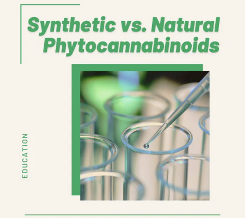 Synthetic vs Natural Phytocannabinoids