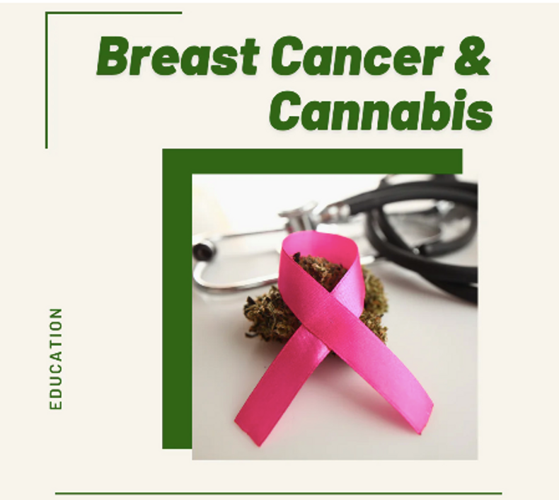 Breast Cancer & Cannabis - What the Studies Show