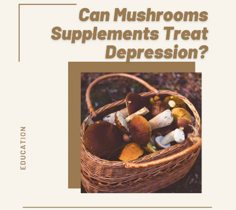 Mushroom Supplements for Depression