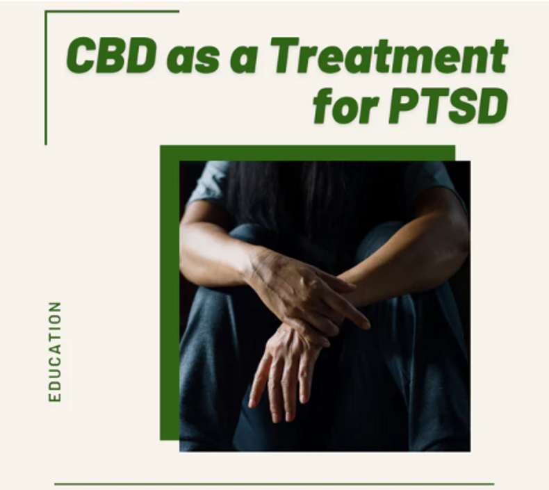 CBD as a Treatment for PTSD - Happy Trails