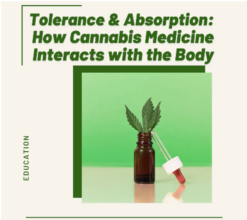 Tolerance & Absorption: How Cannabis Interacts with the Body