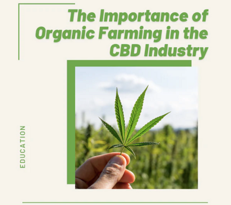 The Importance of Organic Farming in the CBD Industry