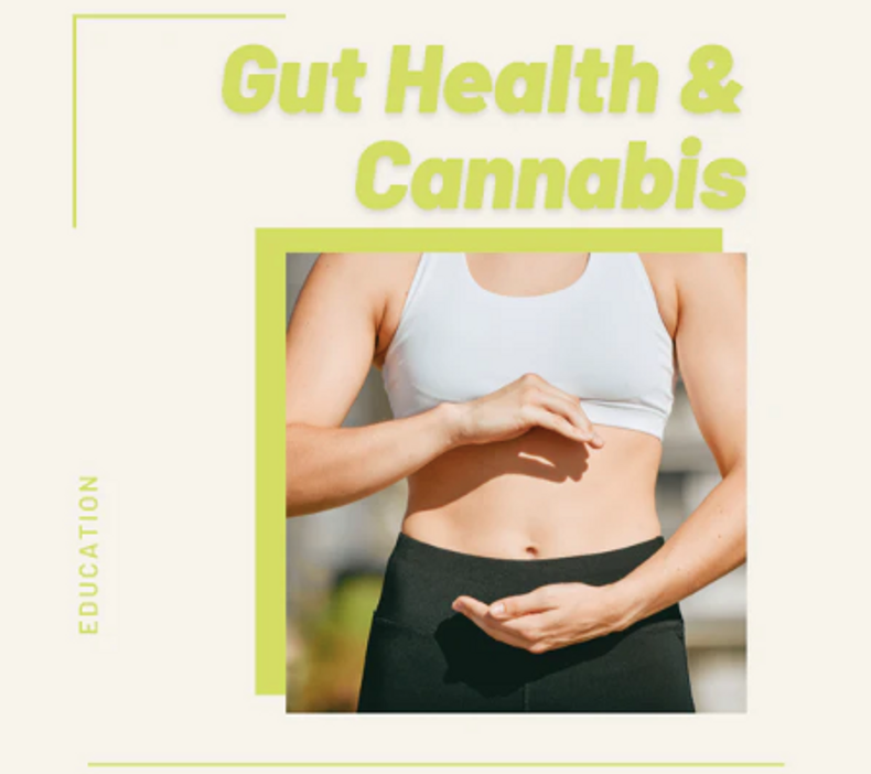 Gut Health Is Mental Health