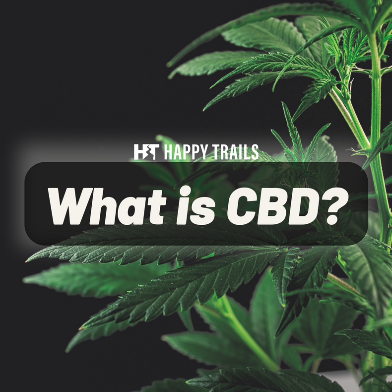 What is CBD? 