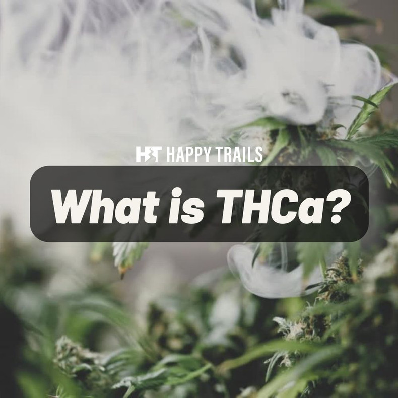 What is THCA?