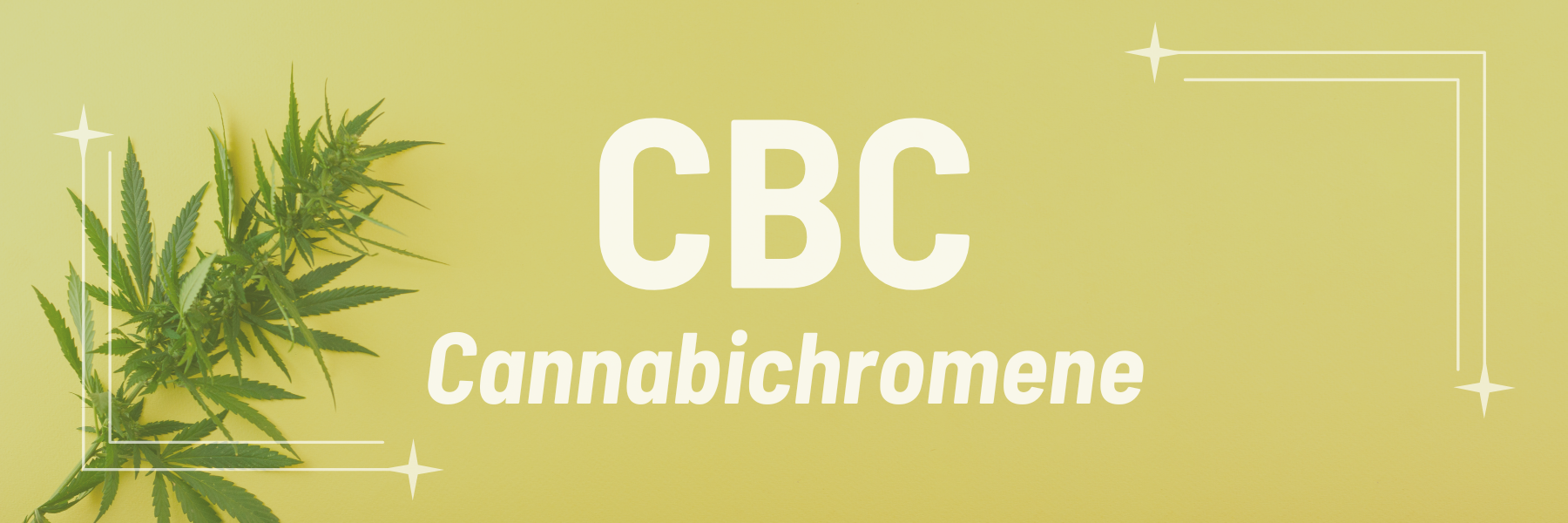 What is CBC - Cannabichromene