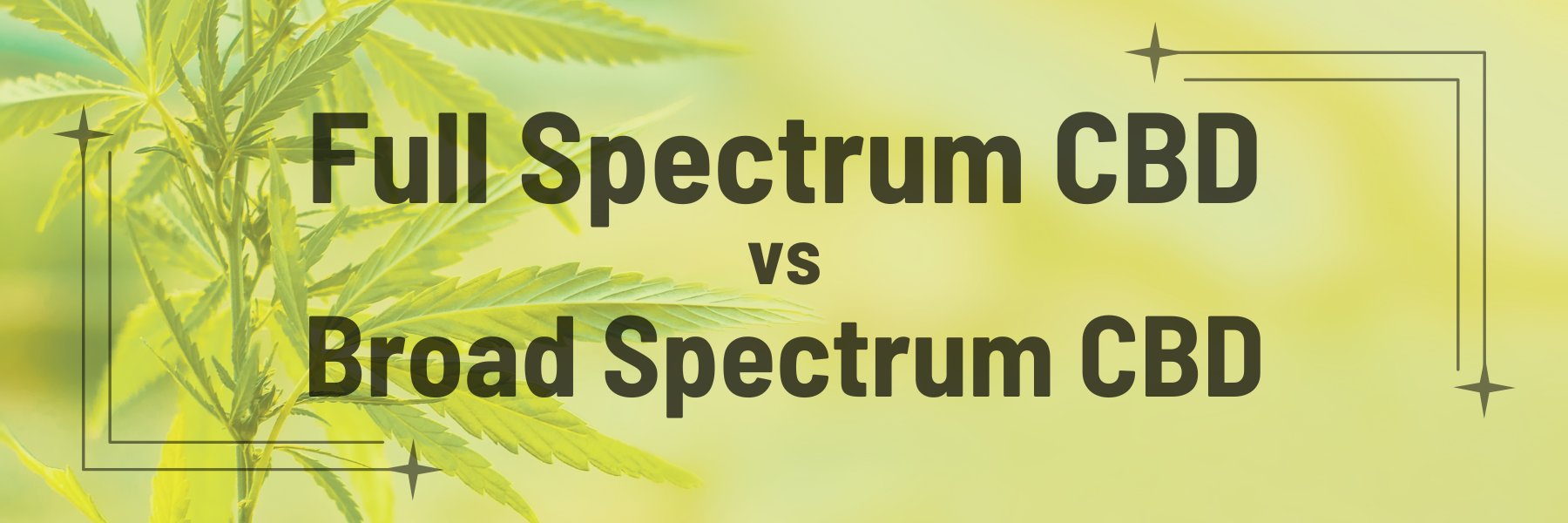 Full Spectrum CBD vs Broad Spectrum CBD