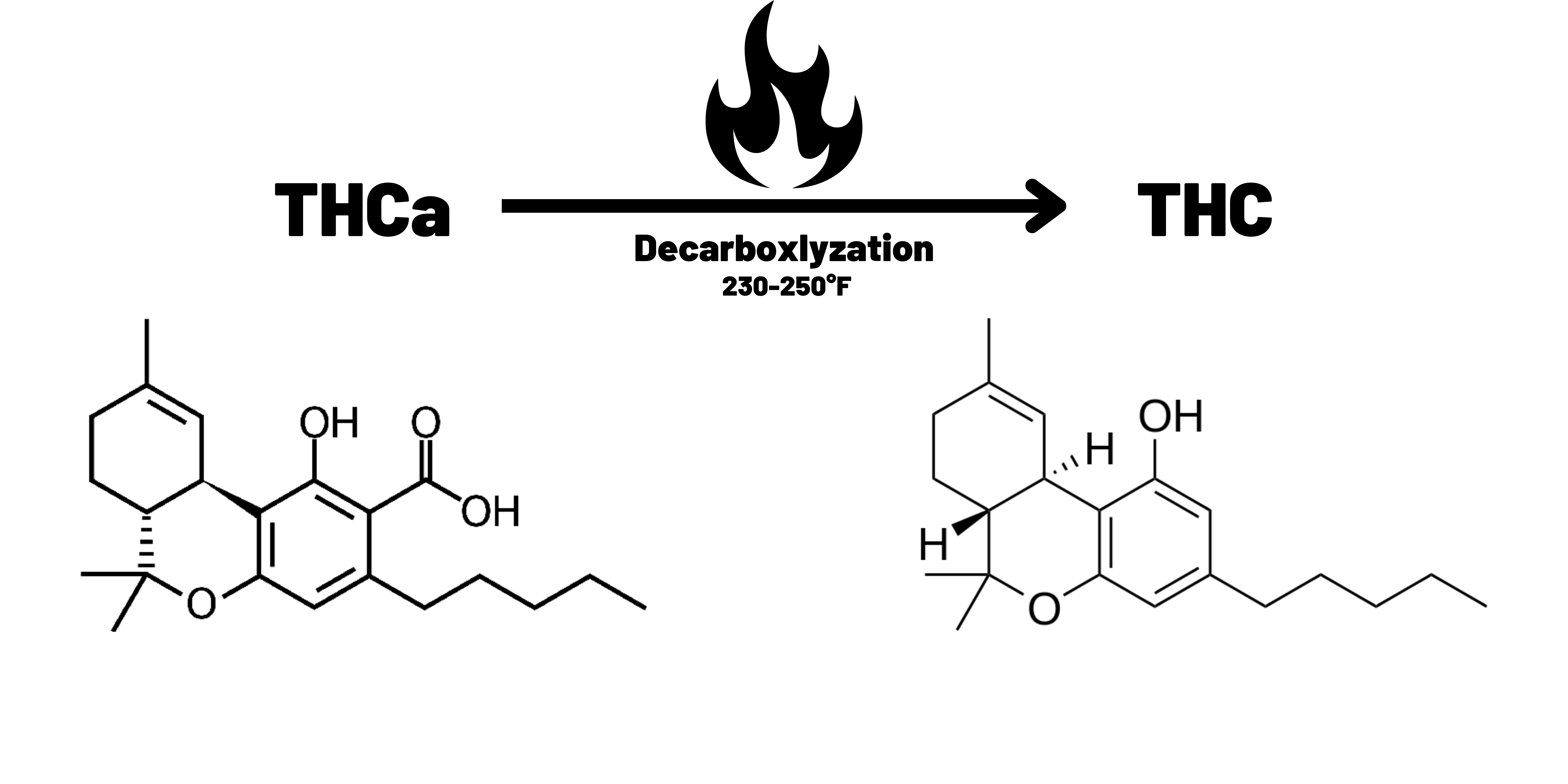 THCa What is THCa Decarboxlyzation