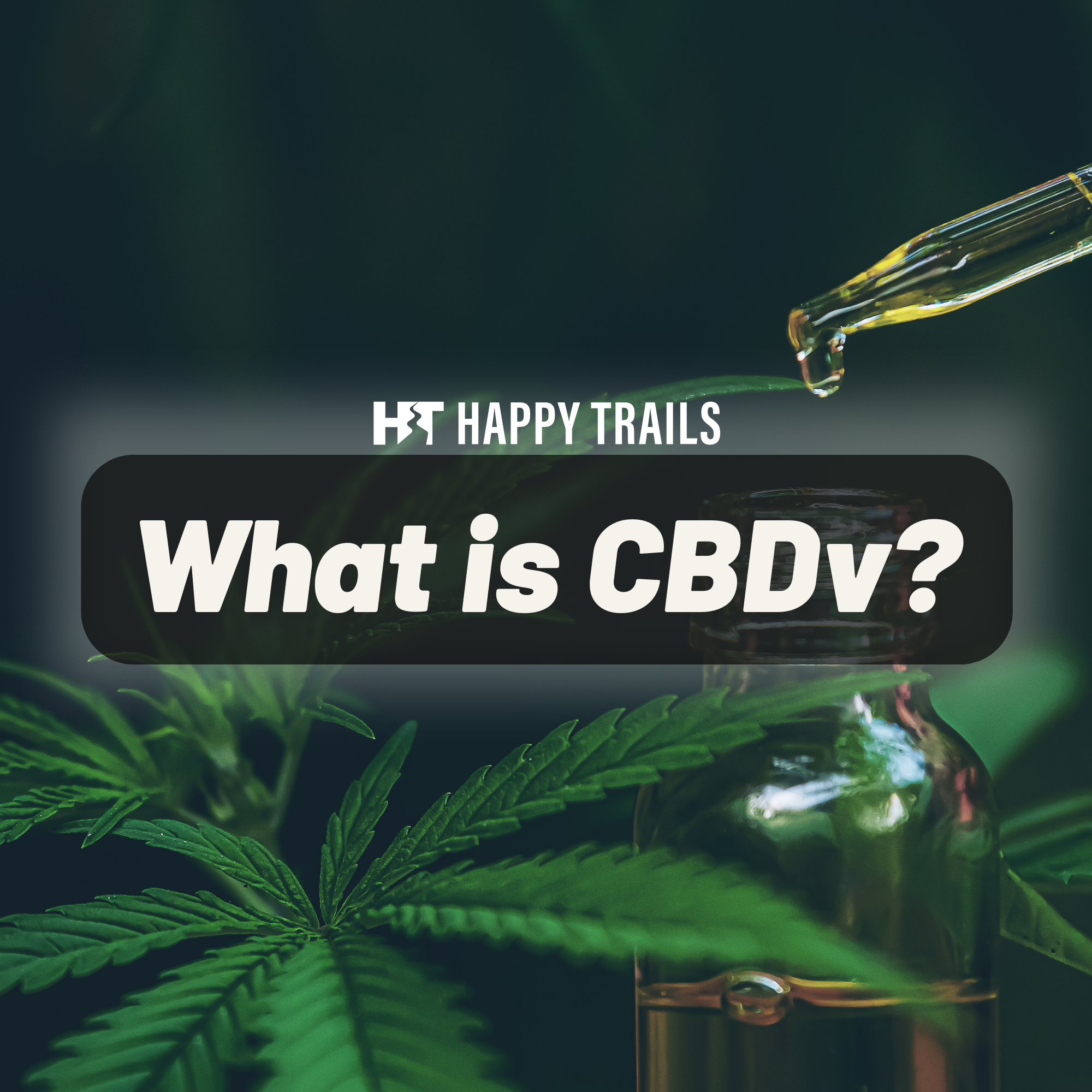 What is CBDv? - HappyTrails