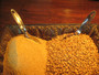 2.5 Kg. (5.5 lb.) Organic Gold Roast Coffee