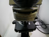 Olympus Microscope BX41 Fluorescence-Free Shipping