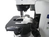 Olympus Microscope BX41TF Fluorescence-Free Shipping