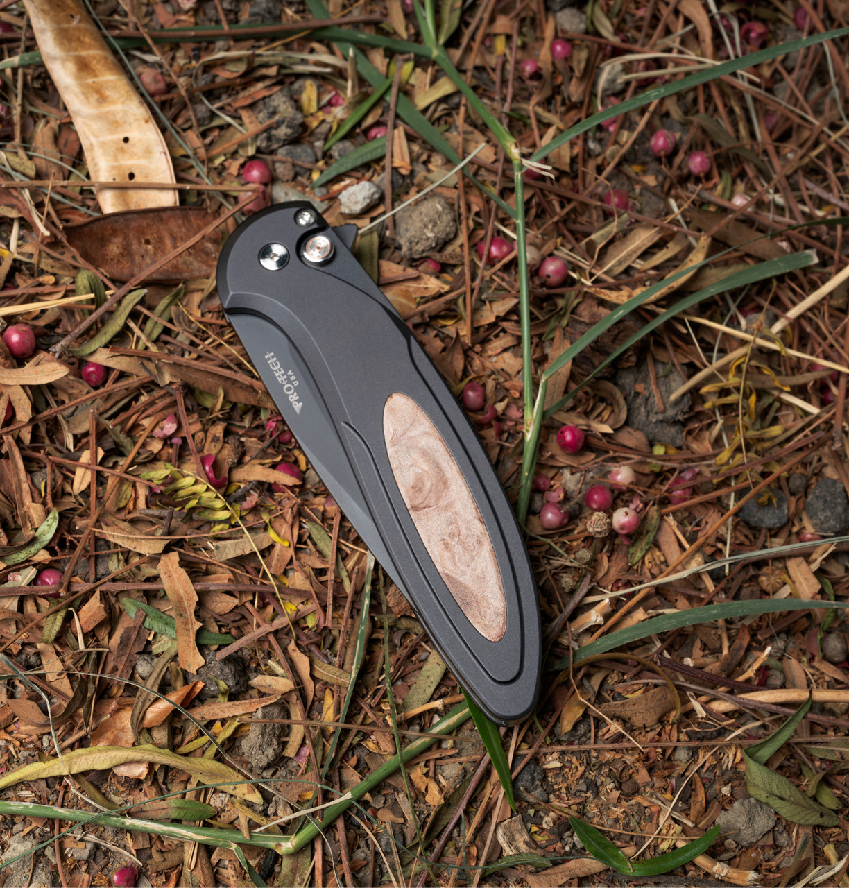 Cambria 2 - CF2103 Limited Maple Knife | Pro-Tech Knives