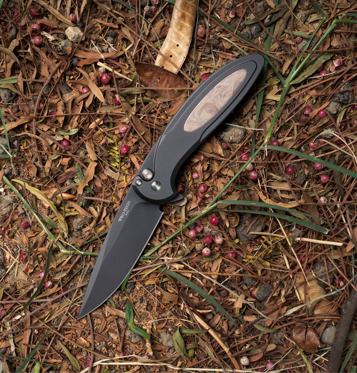 Cambria 2 - CF2103 Limited Maple Knife | Pro-Tech Knives