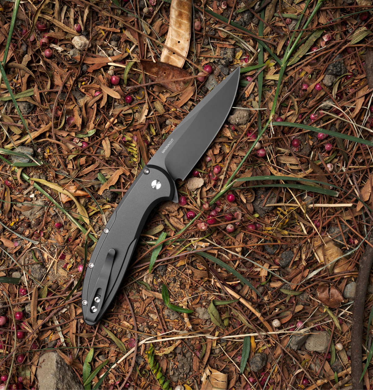 Cambria 2 - CF2103 Limited Maple Knife | Pro-Tech Knives