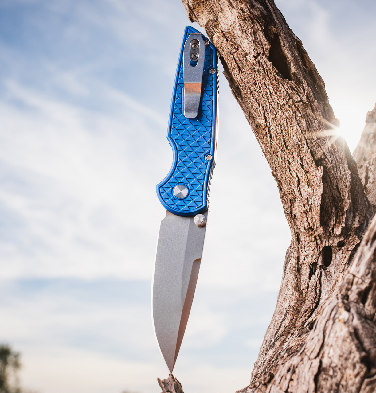 Integrity - 2026 Blade Show Texas.1 Knife | Pro-Tech Knives