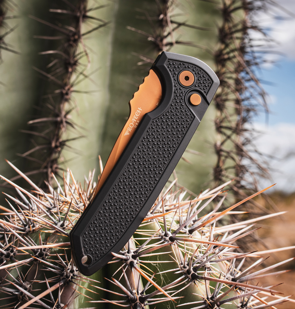 LA ROCK! レオパード柄 ベスト　or glory Rockeye - 2026 Exclusive 003 Knife | Pro-Tech Knives