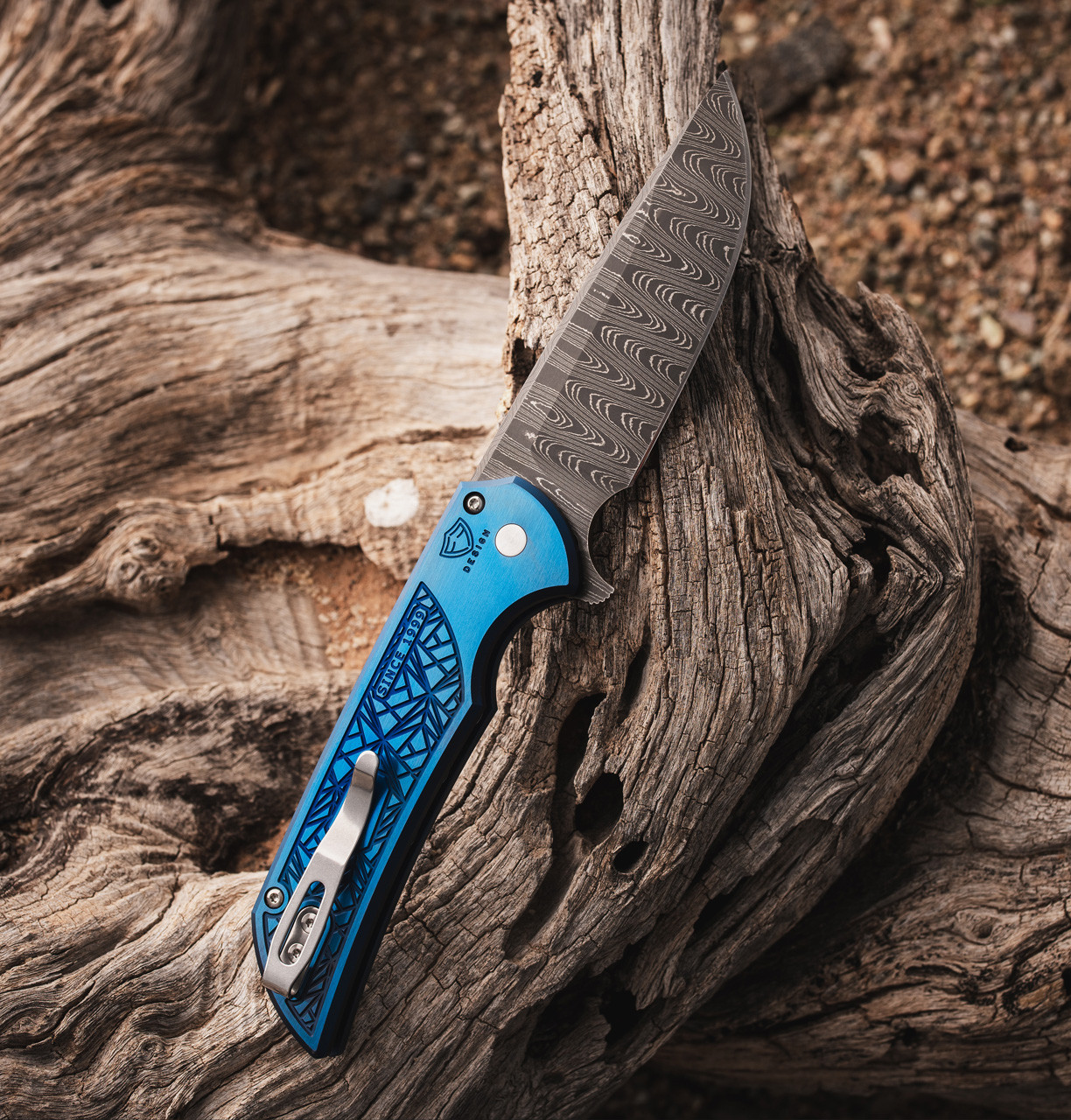 Mordax - 2026 Exclusive 004 Knife | Pro-Tech Knives