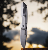 Synapse 2 - 2026 Custom 003