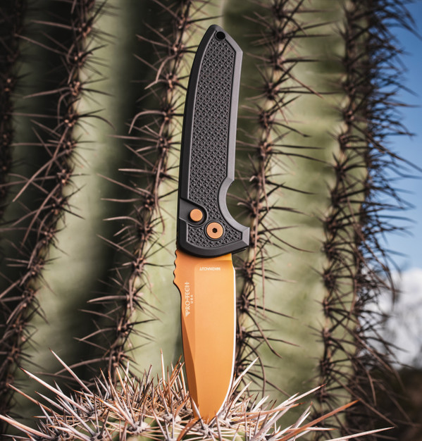 Rockeye - 2026 Exclusive 003